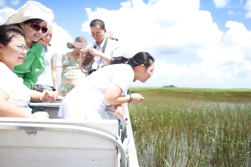 Show item 5 of 10. Everglades Adventure Tour From Miami in a Luxury Bus