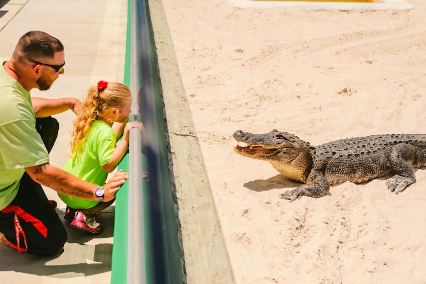 Everglades Excursion