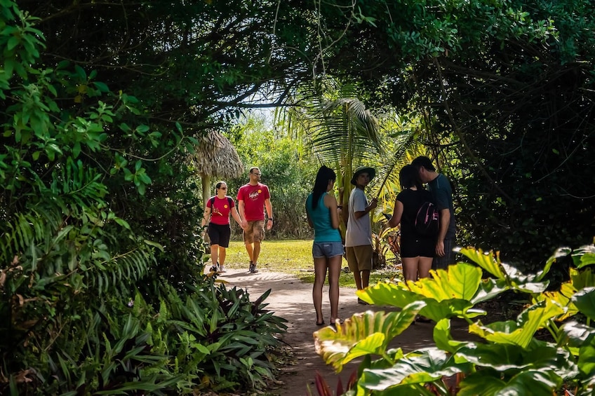 Everglades Adventure Tour From Miami in a Luxury Bus