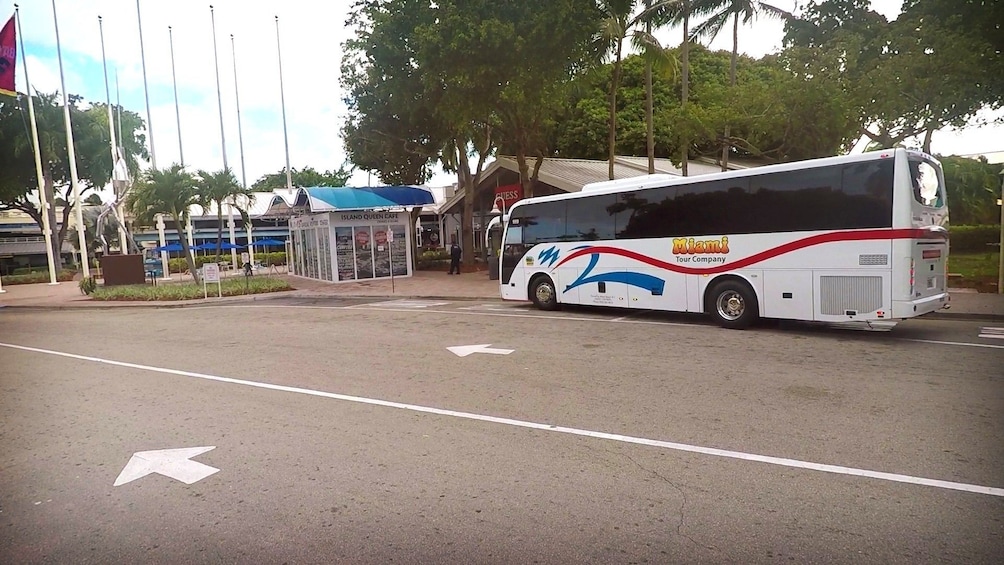 Show item 4 of 10. Everglades Adventure Tour From Miami in a Luxury Bus