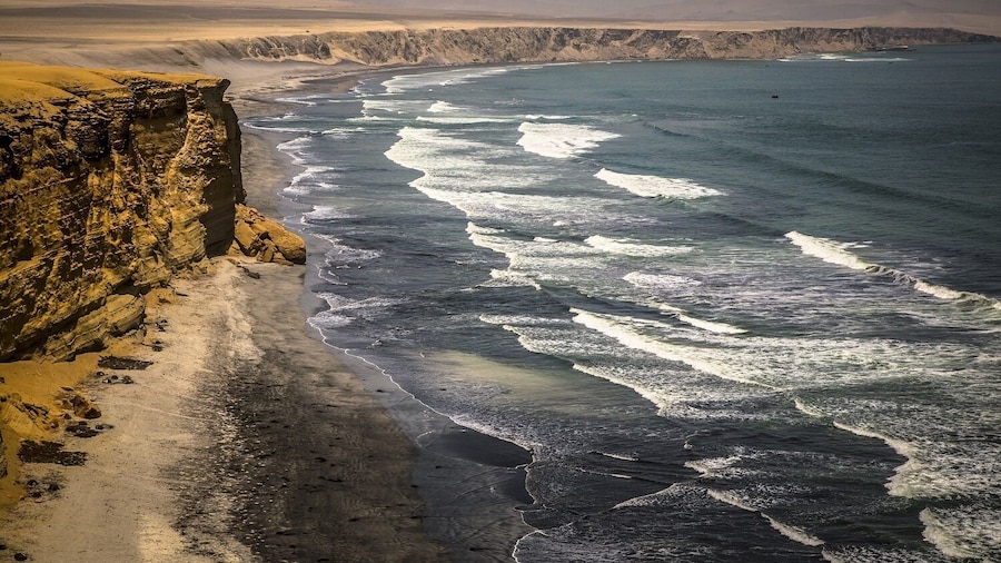 Paracas National Reserve Tour