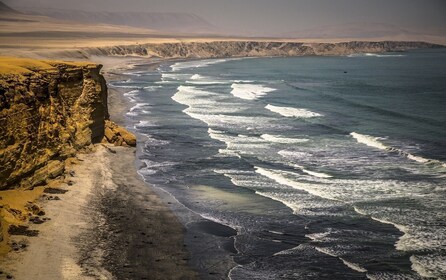 Paracas National Reserve Tour