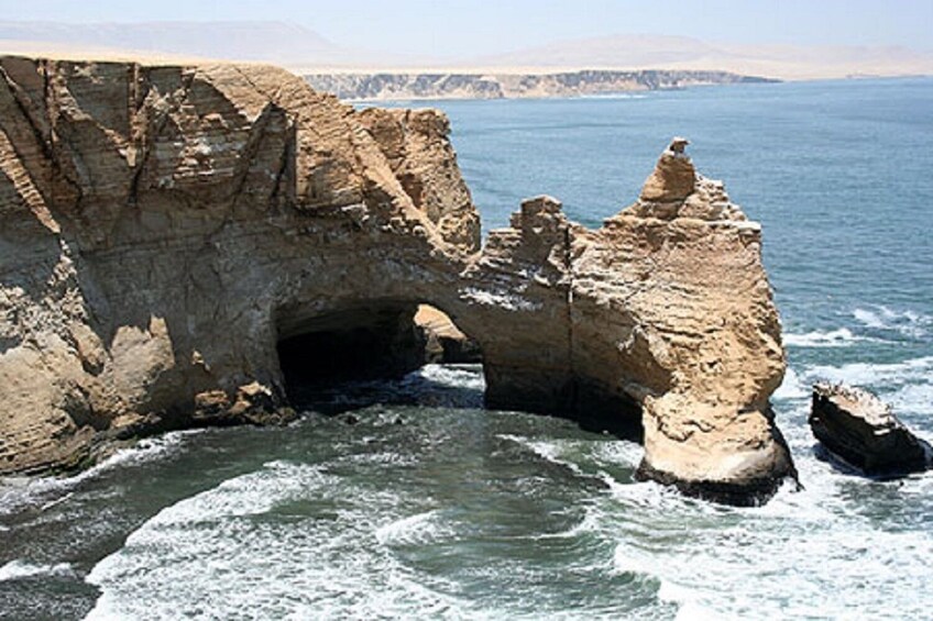 Paracas National Reserve Tour
