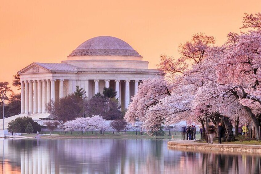 Cherry Blossoms, City Tour, Seasonal Cruise, Optional Tickets