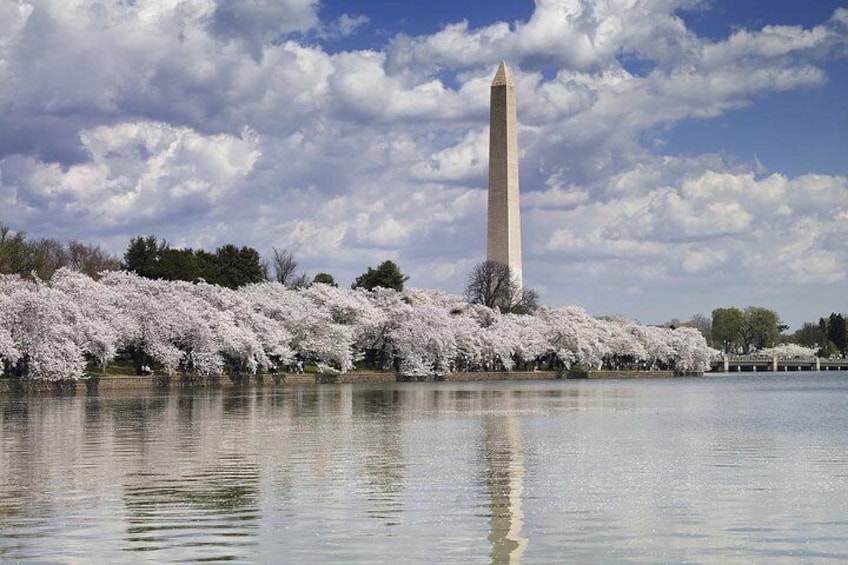Washington Monument