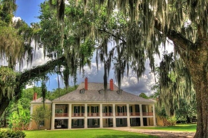 Highlights of New Orleans City and Plantation Tour Combination