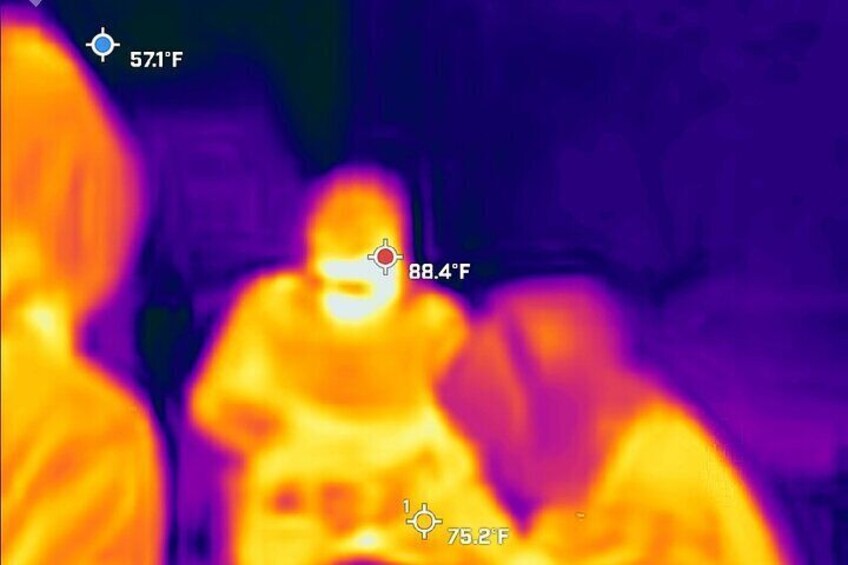 FLIR Thermal Camera