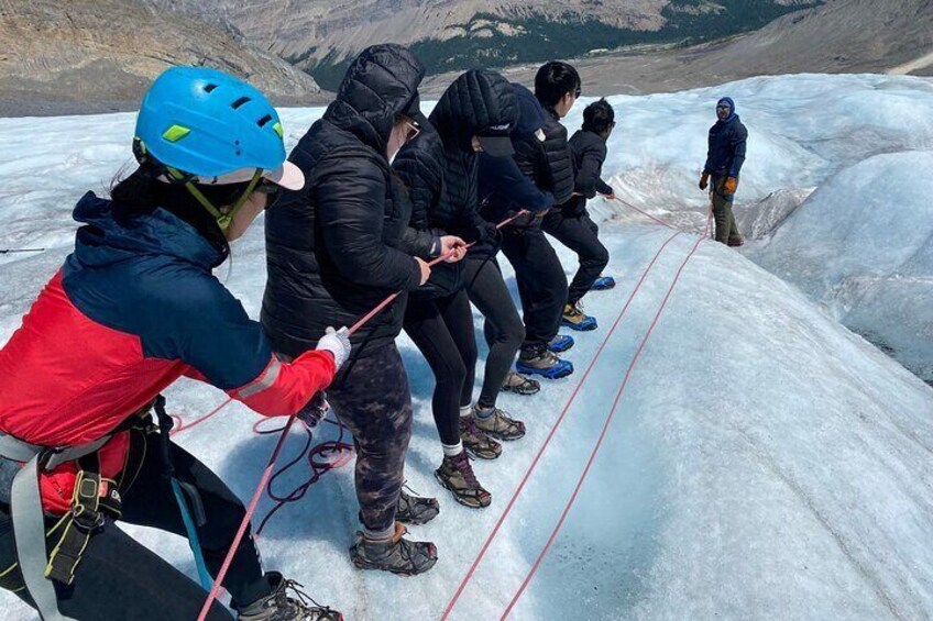 Tread Lightly Glacier Hikes