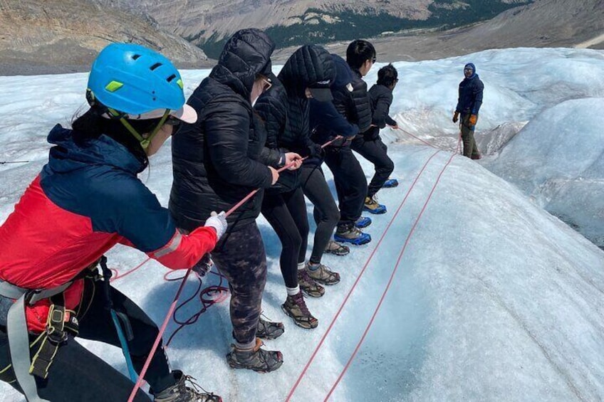 Tread Lightly Glacier Hikes