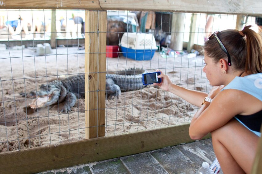 Miami To The Max! & Everglades Tour (Combo)