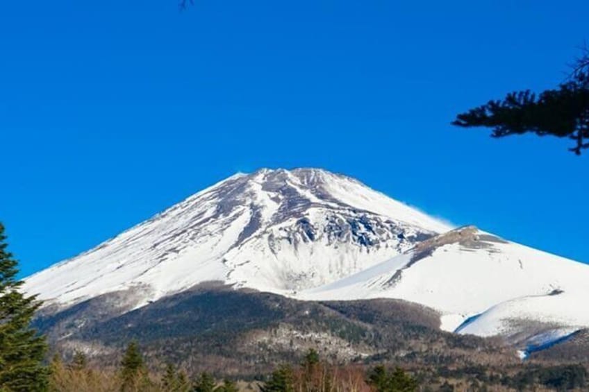 Mt. Fuji and Hakone 1-Day Bus Tour [Return w/ Shinkansen]