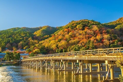 From Osaka/Kyoto: Kyoto & Nara Day Trip with Lunch