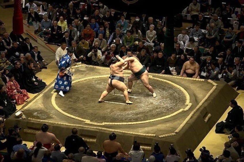 Sumo Tournament Experience in Tokyo