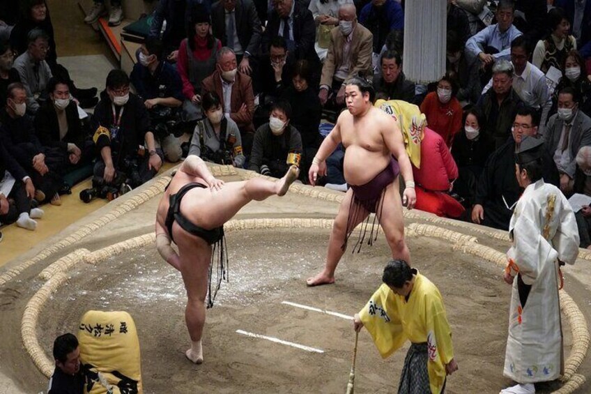 Sumo Tournament Experience in Tokyo