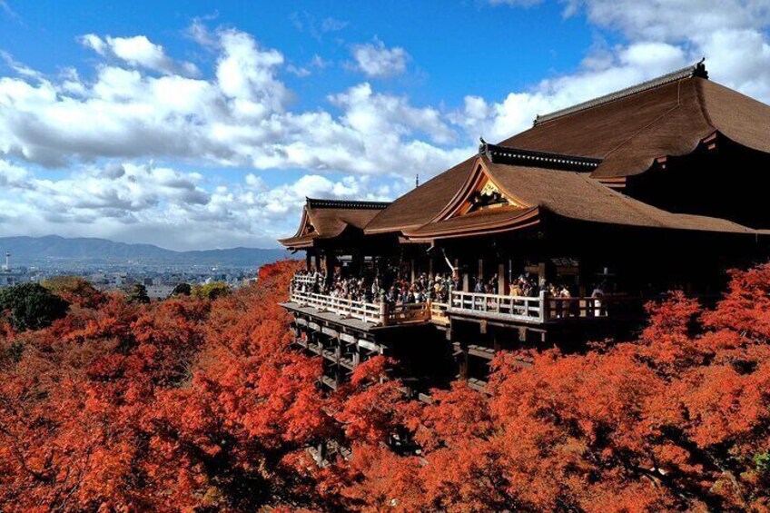 From Osaka/Kyoto: Kyoto UNESCO World Heritage Sites 1Day Bus Tour