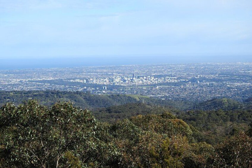 Adelaide Hills Private Day Tour