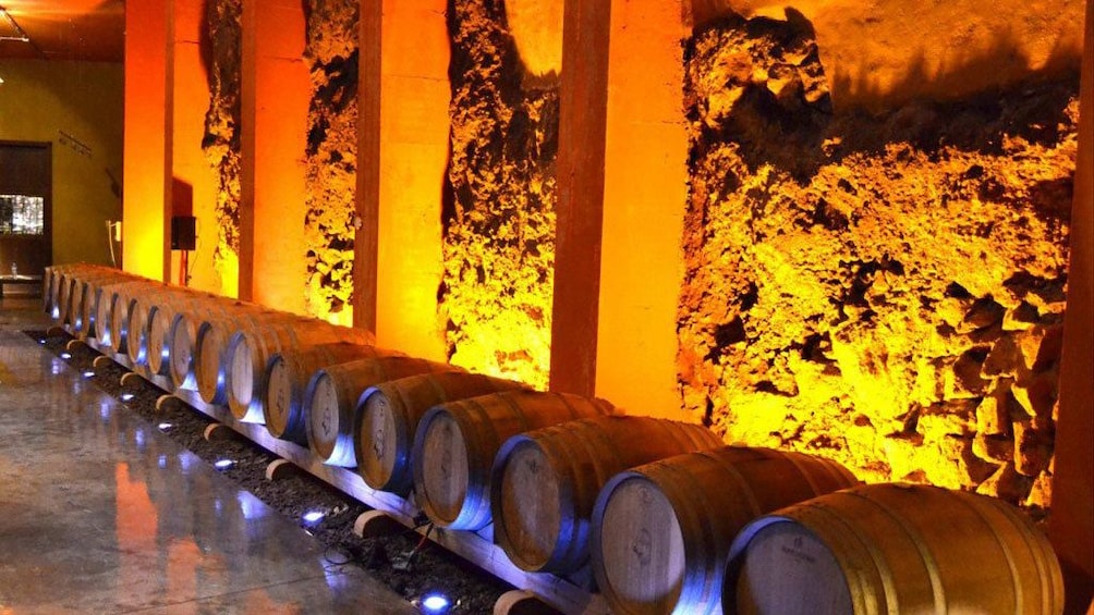 Foto 4 van 5. casks of wine at a wine cellar in Tenerife