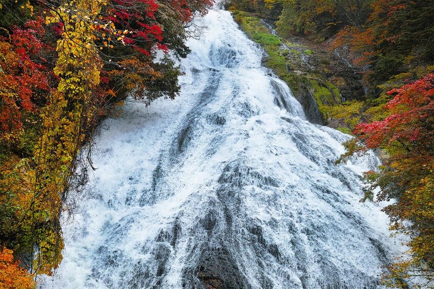 Autumn in Nikko (Early - Mid Oct)