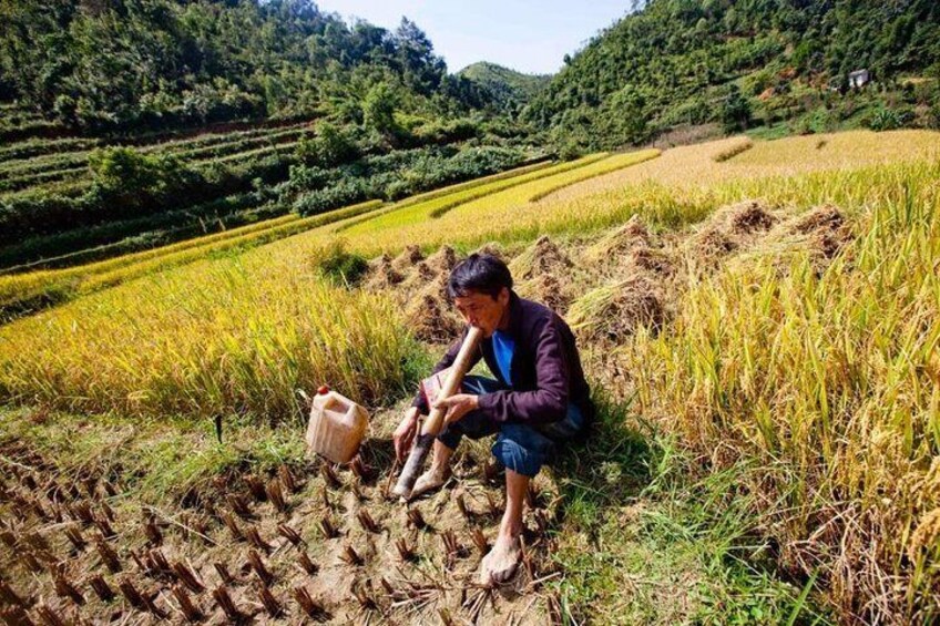 Ha Giang 2 days 1 night - Trekking with Tonkin Vienam Travel