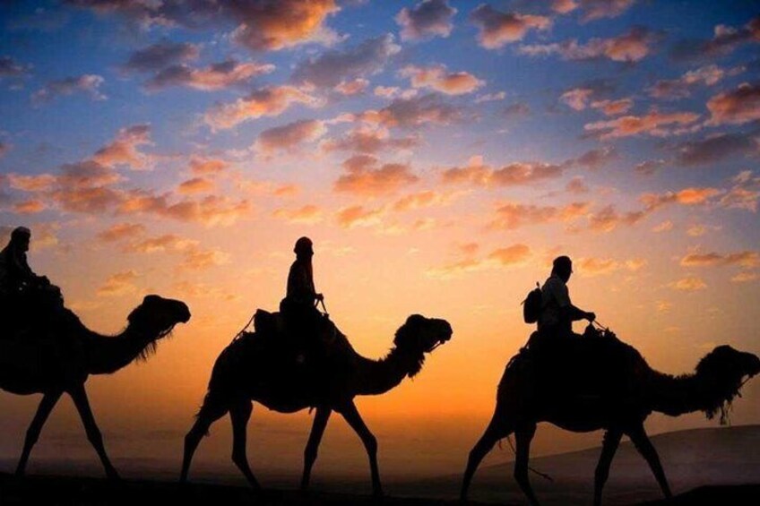 Day 7: The Merzouga Desert. Camel Trekk