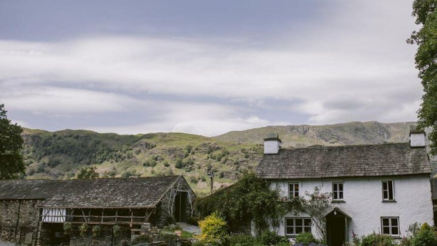 Beatrix Potter - Half Day - Up to 8 People
