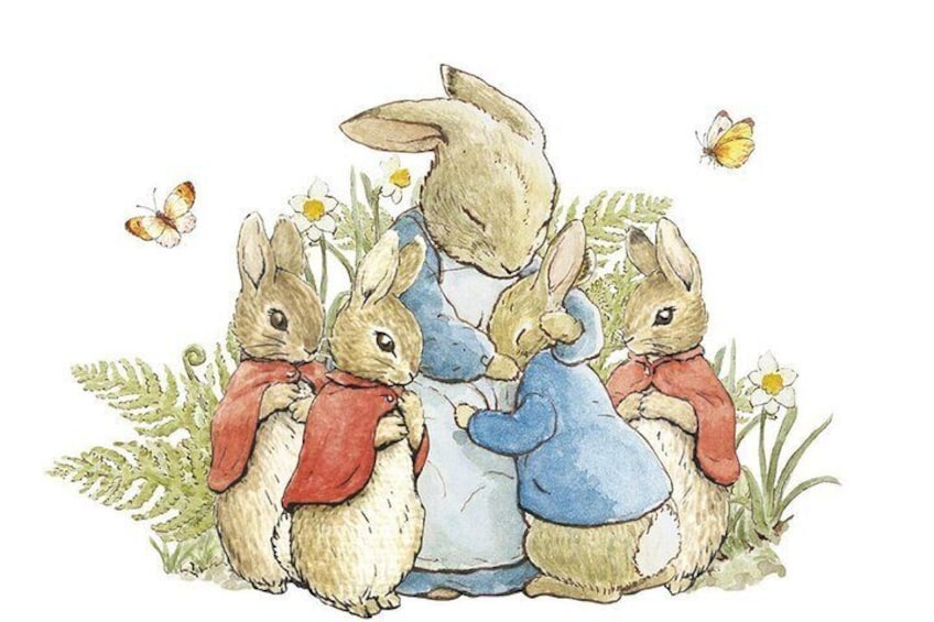 Beatrix Potter - Half Day - Up to 8 People