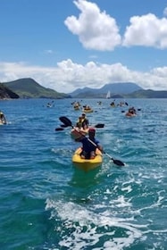 Aventure en kayak et plongée en apnée à Saint-Kitts