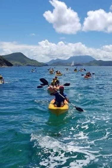 Kayak & Snorkel St. Kitts Adventure