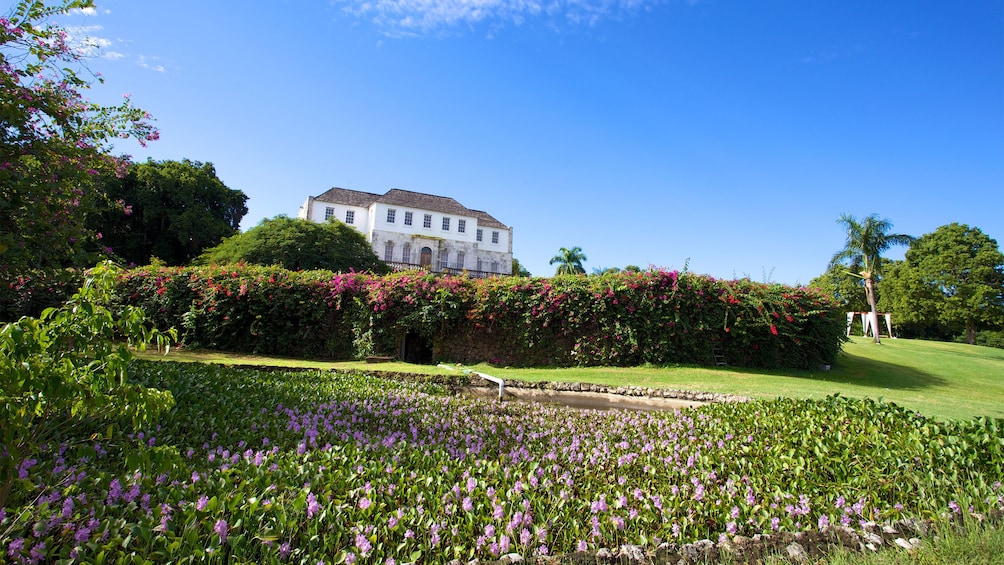 garden at the Rose Hall great house in Jamaica 