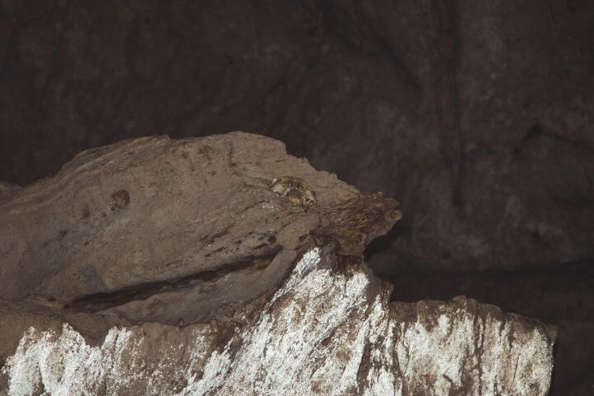 Cave Canoeing from San Ignacio