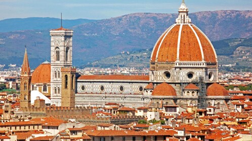 Shore Excursion: Florence on Your Own from Livorno