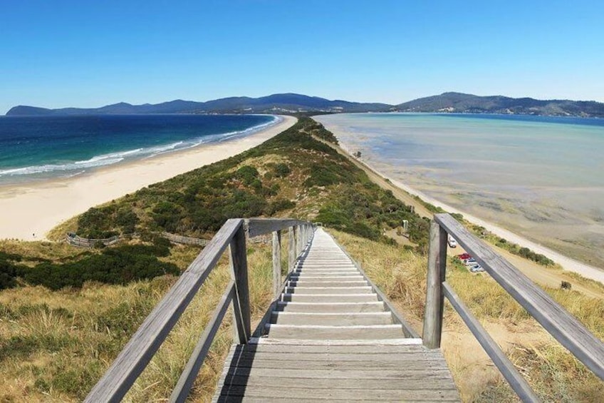 Bruny Island Private Charter Service