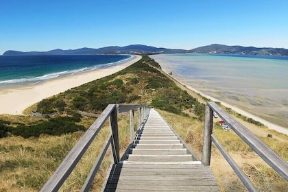 Bruny Island Day Tour Private Charter Service