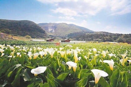 Private Tour: Beitou, Yangmingshan & Tamsui Day Tour (From Taipei: 10 hour)
