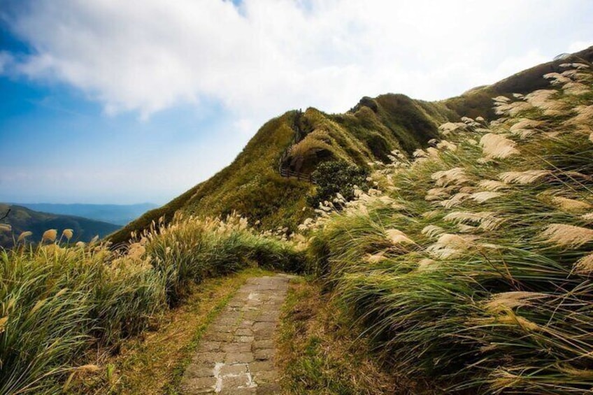 Taiwan TST : Private Tour Taipei, Yangmingshan, Beitou, Tamsui