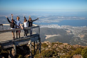 Mount Field, Mount Wellington & Wildlife Tour from Hobart