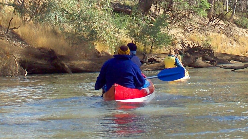 Show item 2 of 5. Group on Murray River Canoeing in Australia.
