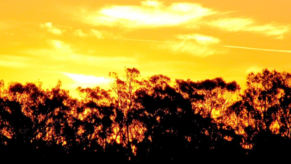 Show item 3 of 5. Sunset on the Murray River in Australia.