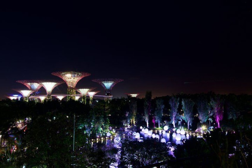 Gardens By The Bay Night Long-Exposure Photography