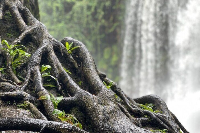 Kulen Waterfall and 1000 Linga River tour from Siem Reap