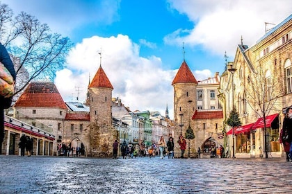 Historic Tallinn: Exclusive Private Tour with a Local Expert