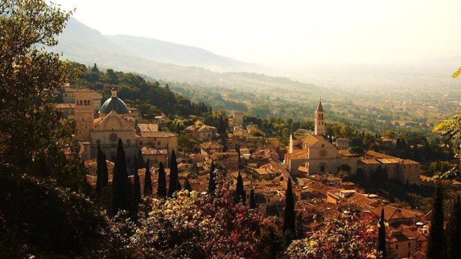 Basilica of St. Francis of Assisi. Tour with official guide