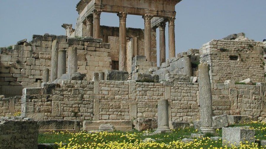 Dougga Guided Day Tour from Tunis