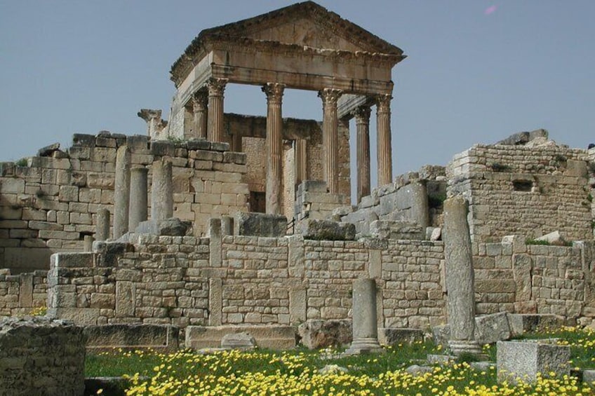  Dougga Guided Day Tour from Tunis