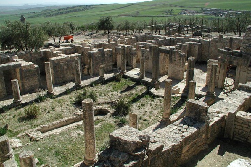 Visit the historical site of Dougga.