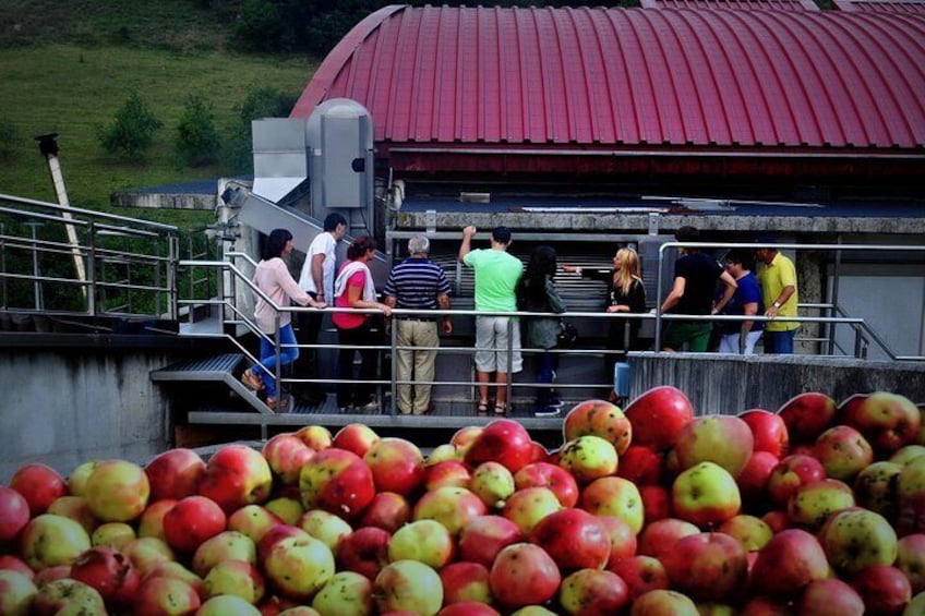 Cider Tour