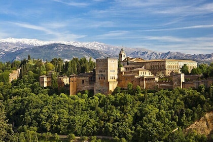 Visita guiada premium sin colas a la Alhambra