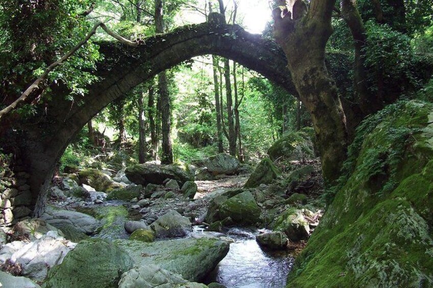 Tsagarada, Pelion