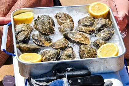 Oyster Sensations