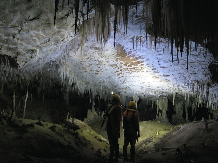 Glowworm Cave Tour